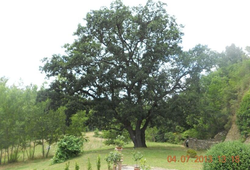 ベッドアンドブレックファースト Villa Loghino