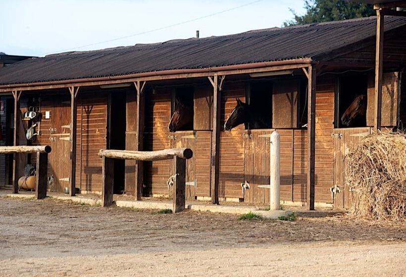 בית מלון כפרי Agriturismo Le Chiuse