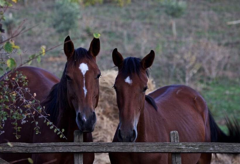בית מלון כפרי Agriturismo Le Chiuse