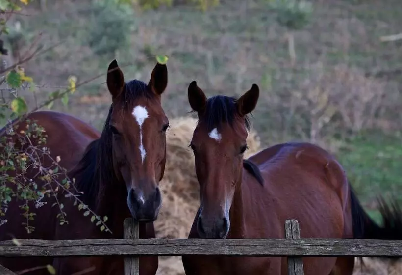 Maaseutuhotelli Agriturismo Le Chiuse