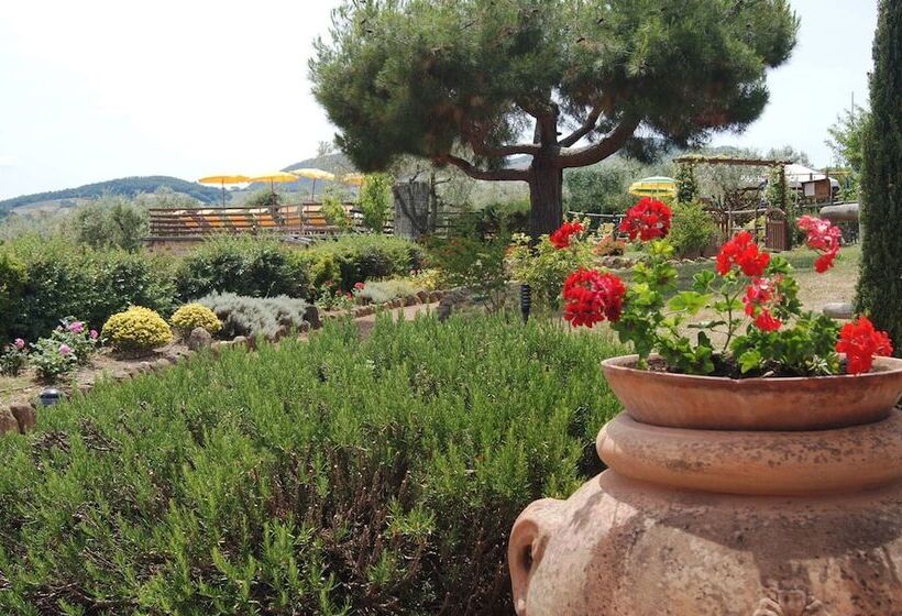 בית מלון כפרי Agriturismo Signorini