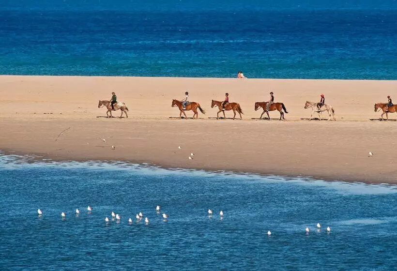 ホテル Baia Di Chia Resort Sardinia, Curio Collection By Hilton