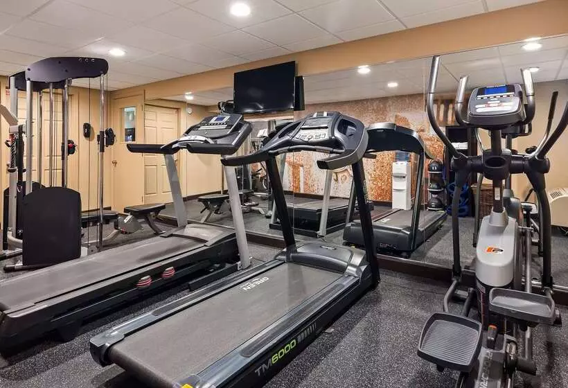 בית מלון כפרי Best Western Milton Inn