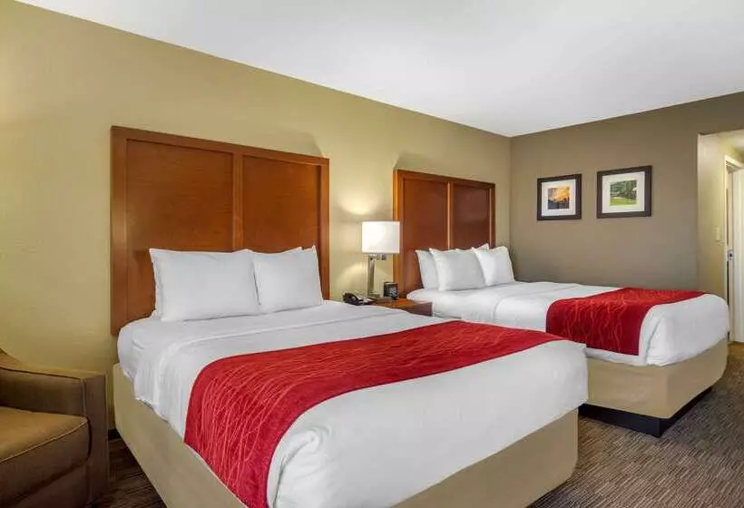 ホテル Comfort Inn & Suites