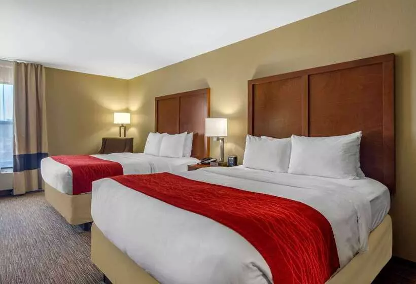 ホテル Comfort Inn & Suites