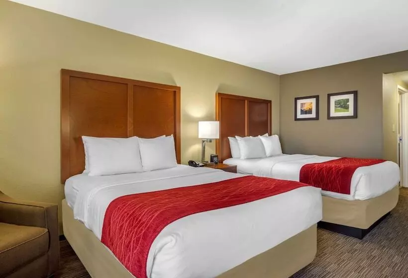 ホテル Comfort Inn & Suites