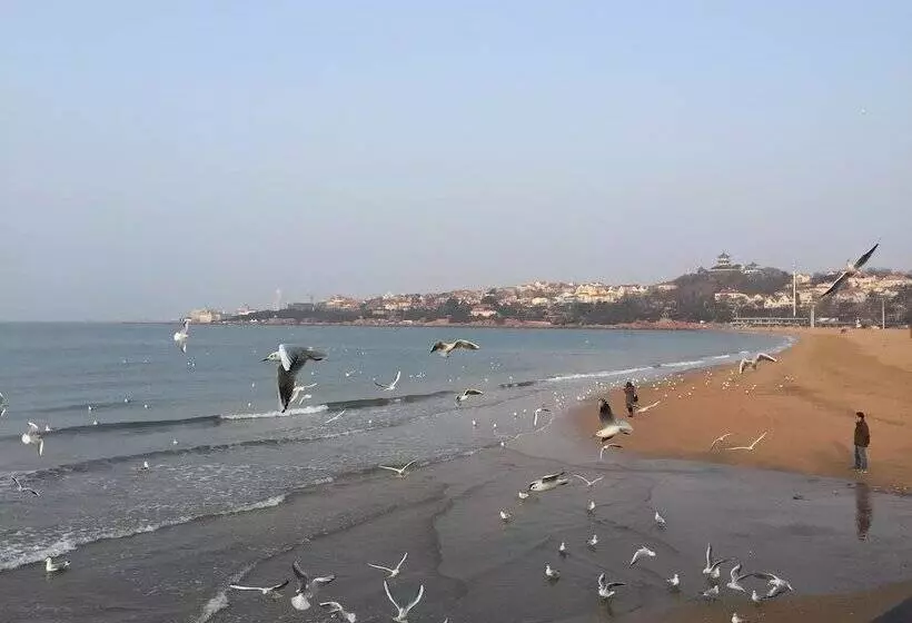 فندق Qingdao Donghai