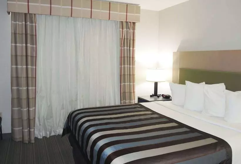 호텔 Wingate By Wyndham Matthews, Nc