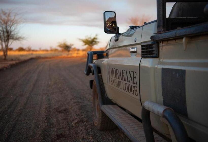 Отель Morakane Safari Lodge