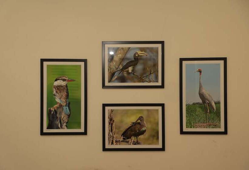 Hotel Sky Suites By Monarch