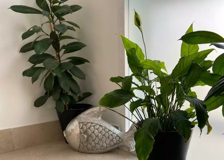 B&b Frontemare San Salvo Marina Ch