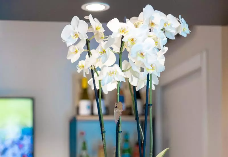 B&b Hotel Troyes Magasins D Usine