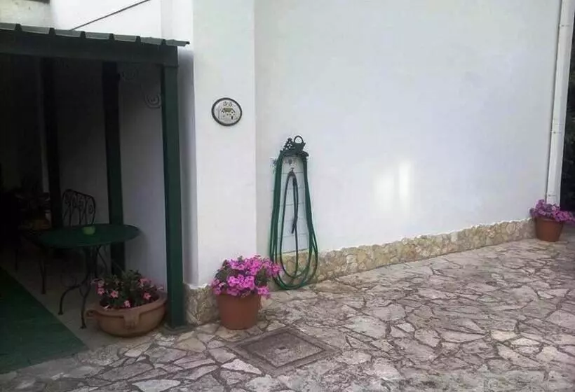 Aamiaismajoitus (B&B) Green House