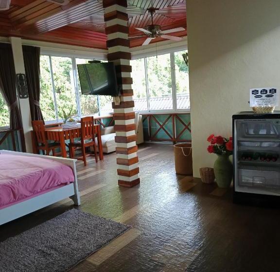 Пансион Mountain View Guest House