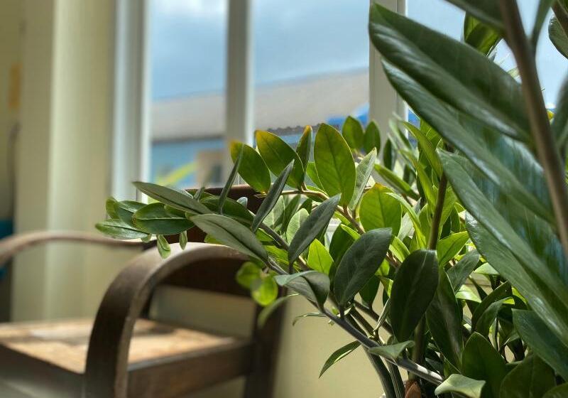 בית מלון כפרי Andaman Place