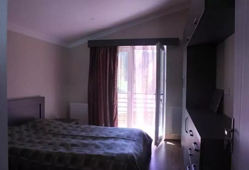 پانسیون Villa Bakuriani