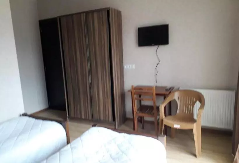 پانسیون Villa Bakuriani