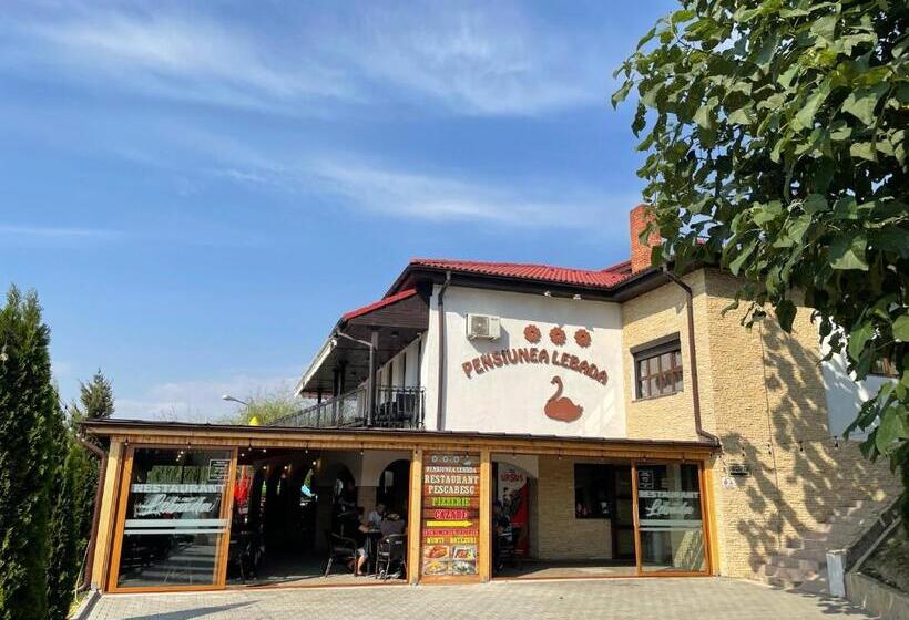 Pensiunea Lebada