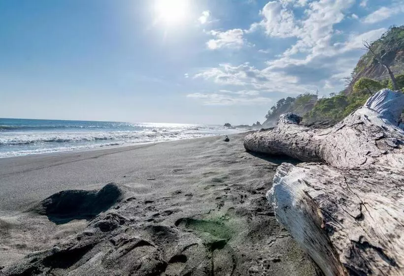 ホテル Terraza Del Pacifico