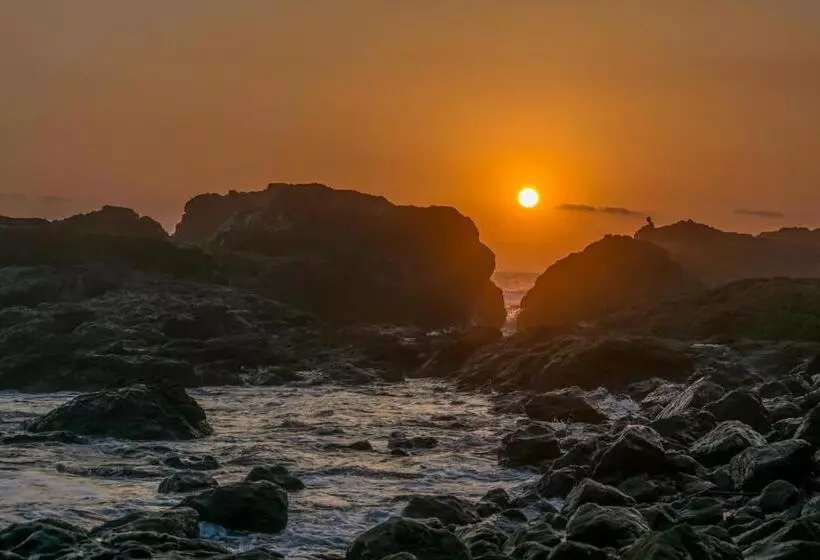 ホテル Terraza Del Pacifico