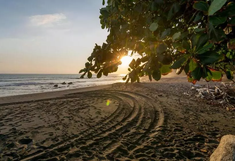 ホテル Terraza Del Pacifico