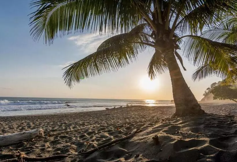 ホテル Terraza Del Pacifico