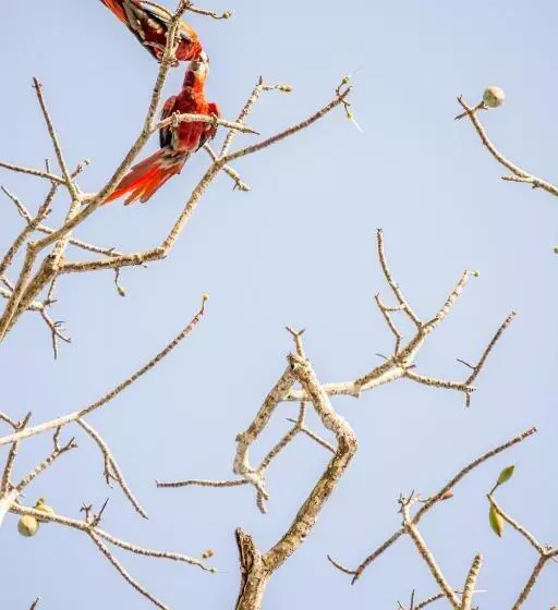ホテル Terraza Del Pacifico