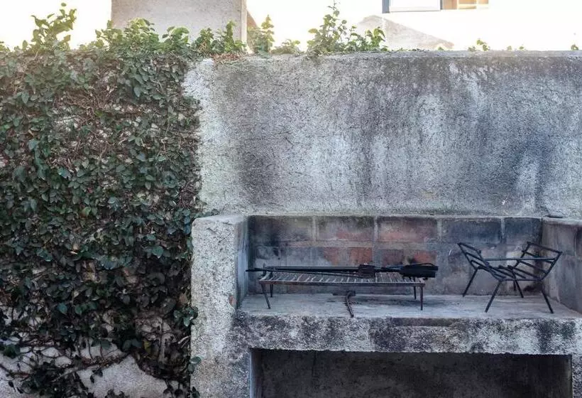 Jazmines Departamentos