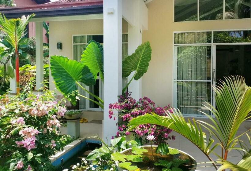 Пансион Casa Mira Boutique Villa