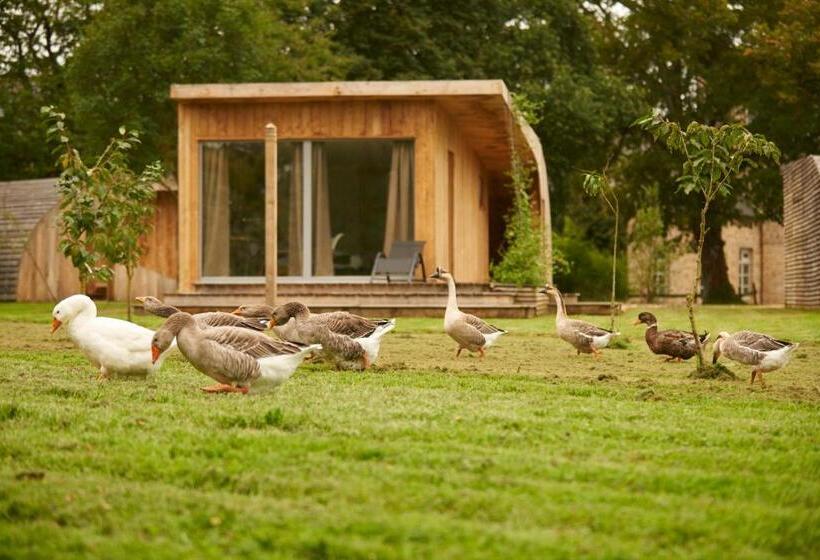 ホテル Château Du Bois Guy