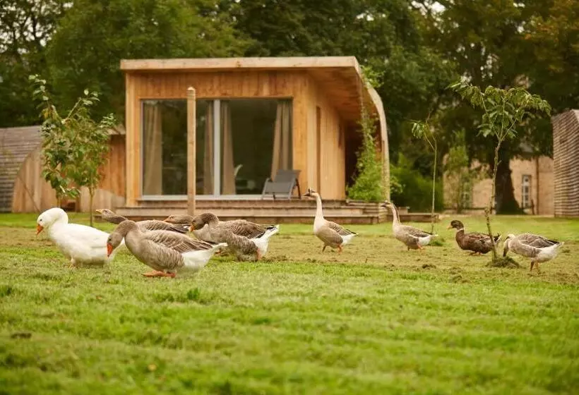 ホテル Château Du Bois Guy