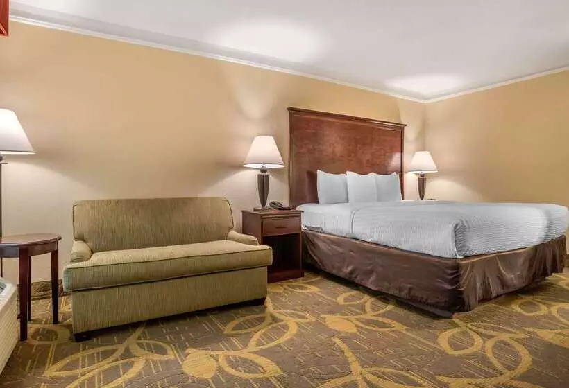 ホテル Clarion Inn Conference Center