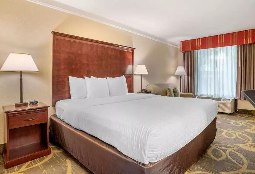 ホテル Clarion Inn Conference Center