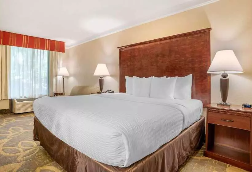 ホテル Clarion Inn Conference Center