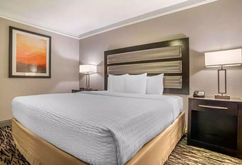 ホテル Clarion Inn Conference Center