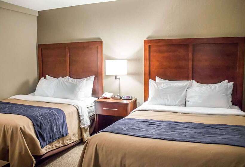 Отель Comfort Inn & Suites
