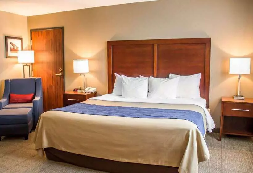 酒店 Comfort Inn & Suites