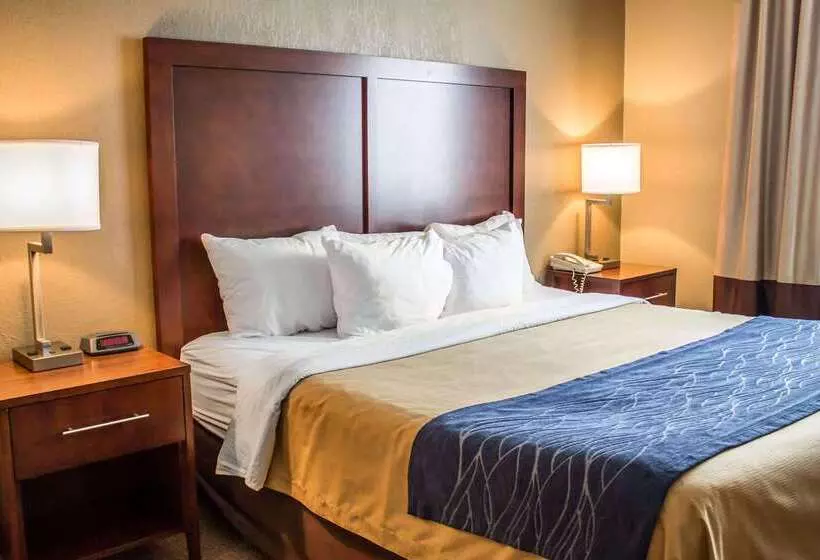 酒店 Comfort Inn & Suites