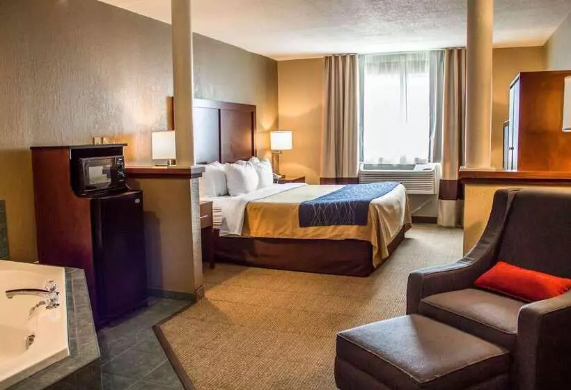 酒店 Comfort Inn & Suites