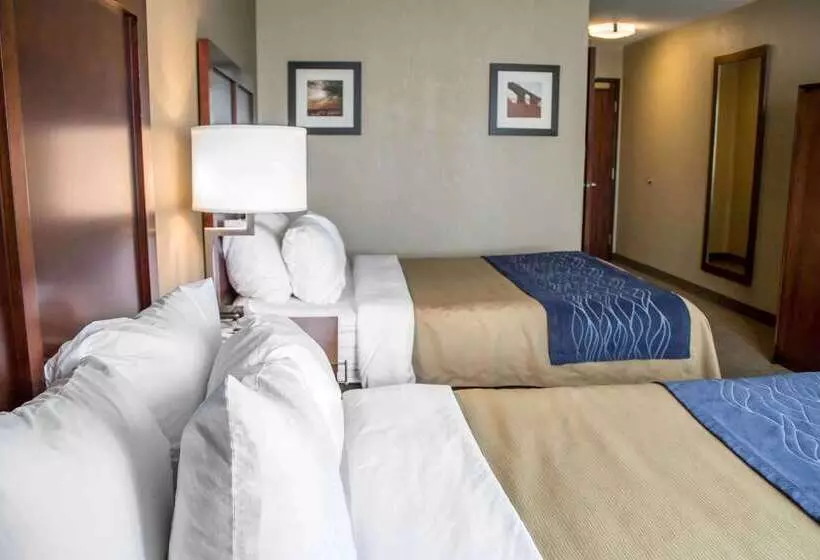 酒店 Comfort Inn & Suites