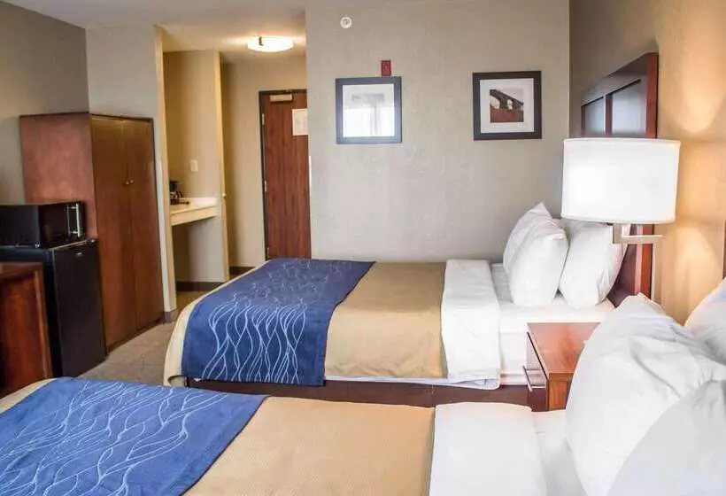 酒店 Comfort Inn & Suites