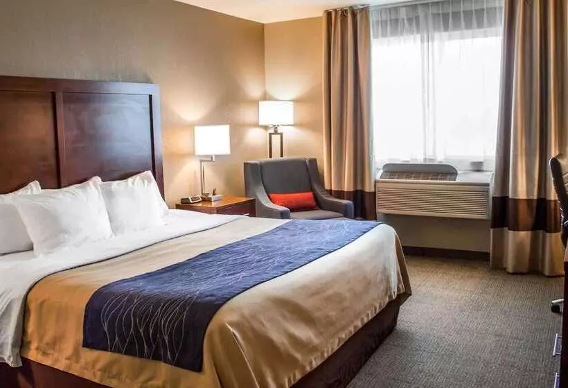 酒店 Comfort Inn & Suites