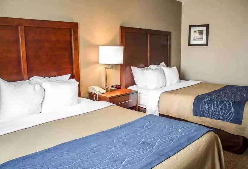 酒店 Comfort Inn & Suites