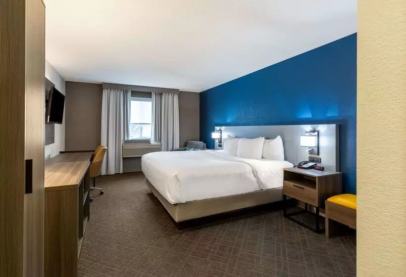 酒店 Comfort Inn & Suites