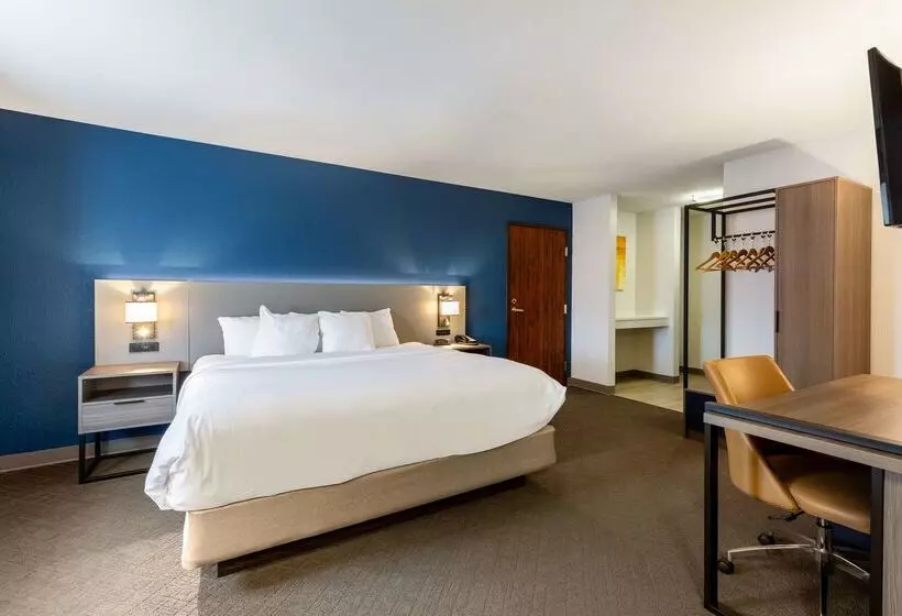 酒店 Comfort Inn & Suites