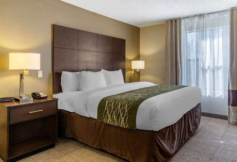 فندق Comfort Inn