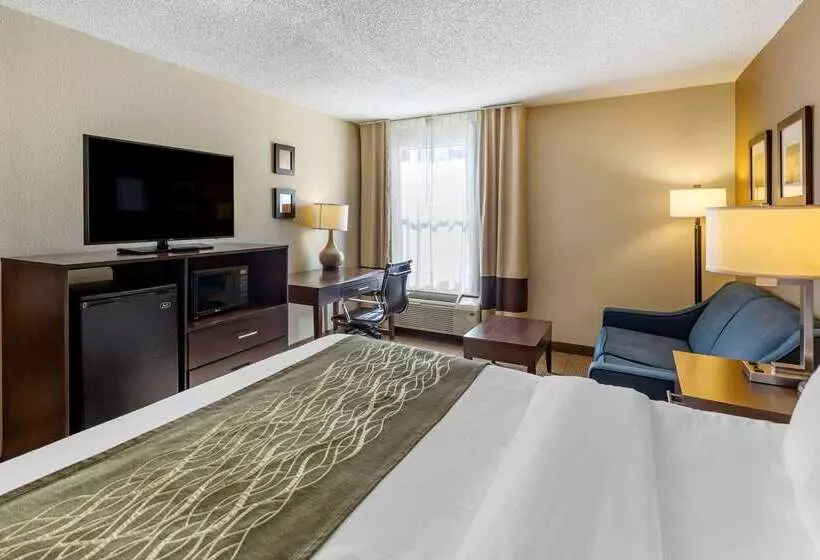 酒店 Comfort Inn