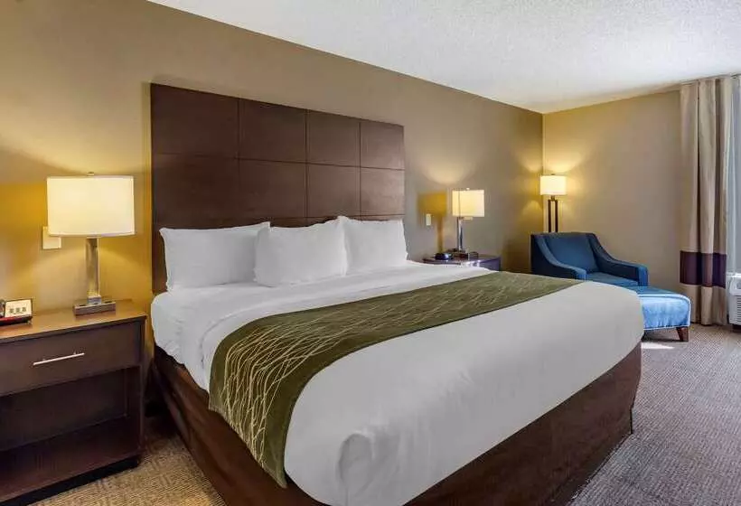 酒店 Comfort Inn
