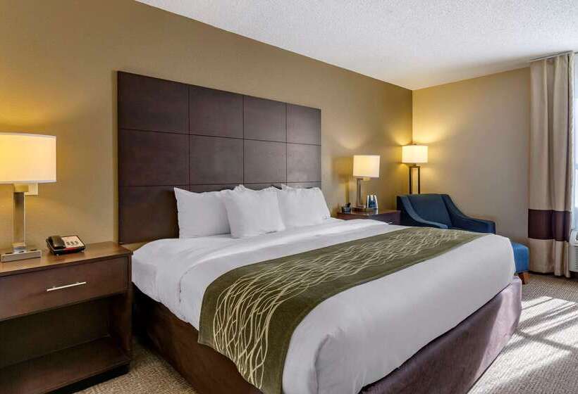 فندق Comfort Inn