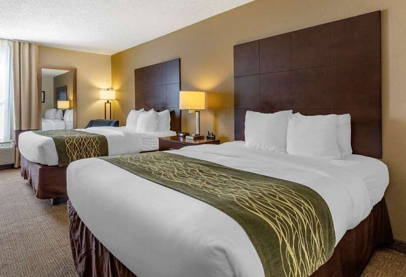 فندق Comfort Inn